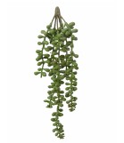 Senecio hanger 34 cm groen